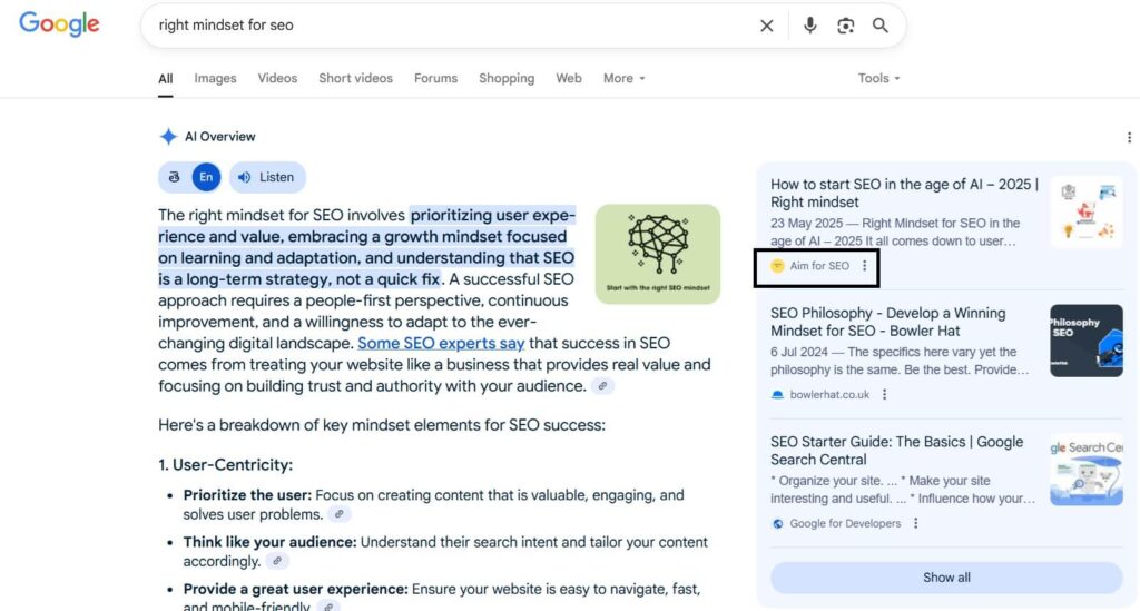 Aim for seo blog post is picked by AI Overview.