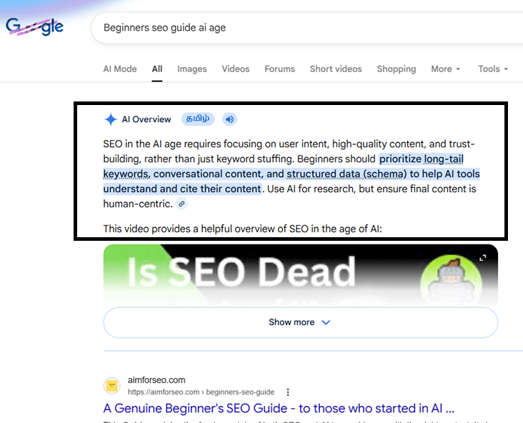Example of Google AI Overview